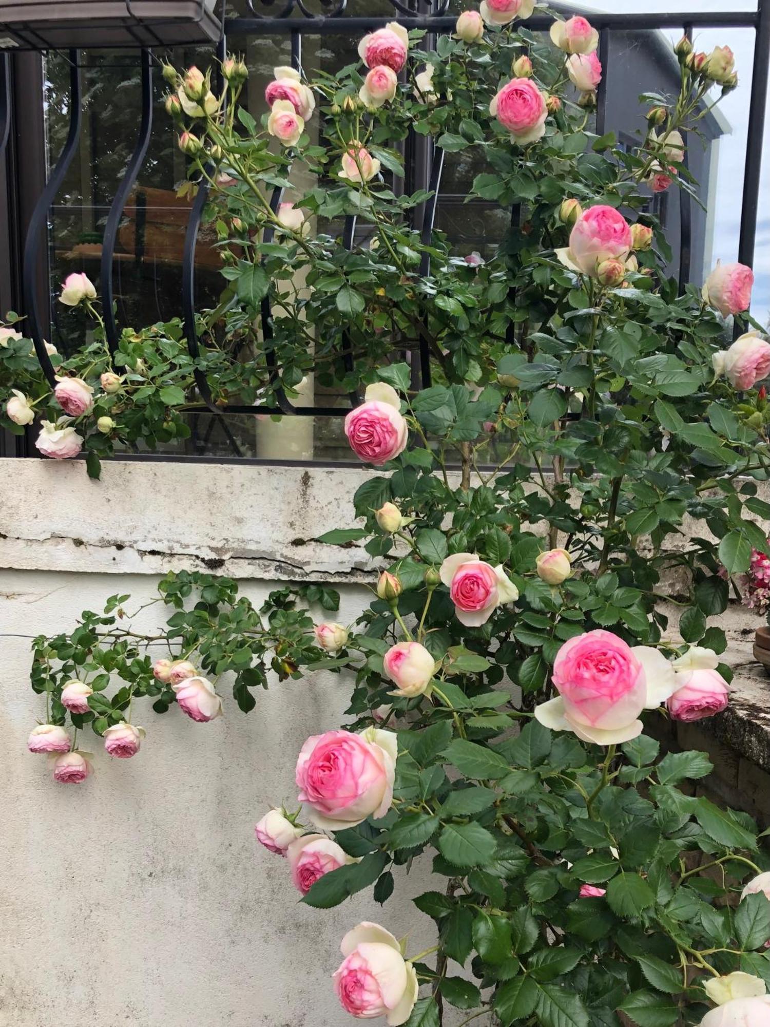 Le Jardin Des Verottes โบน ภายนอก รูปภาพ